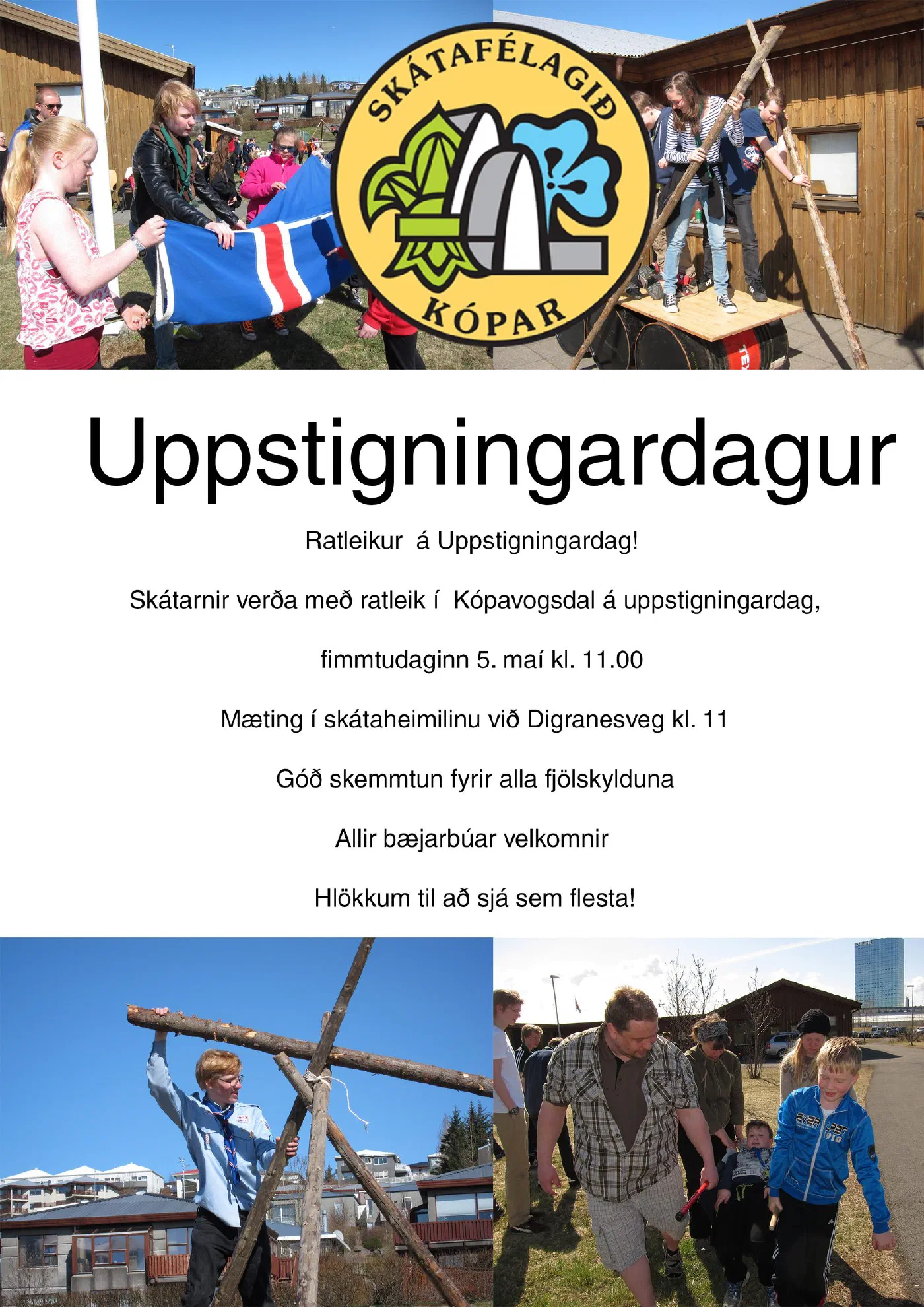 auglysingvef
